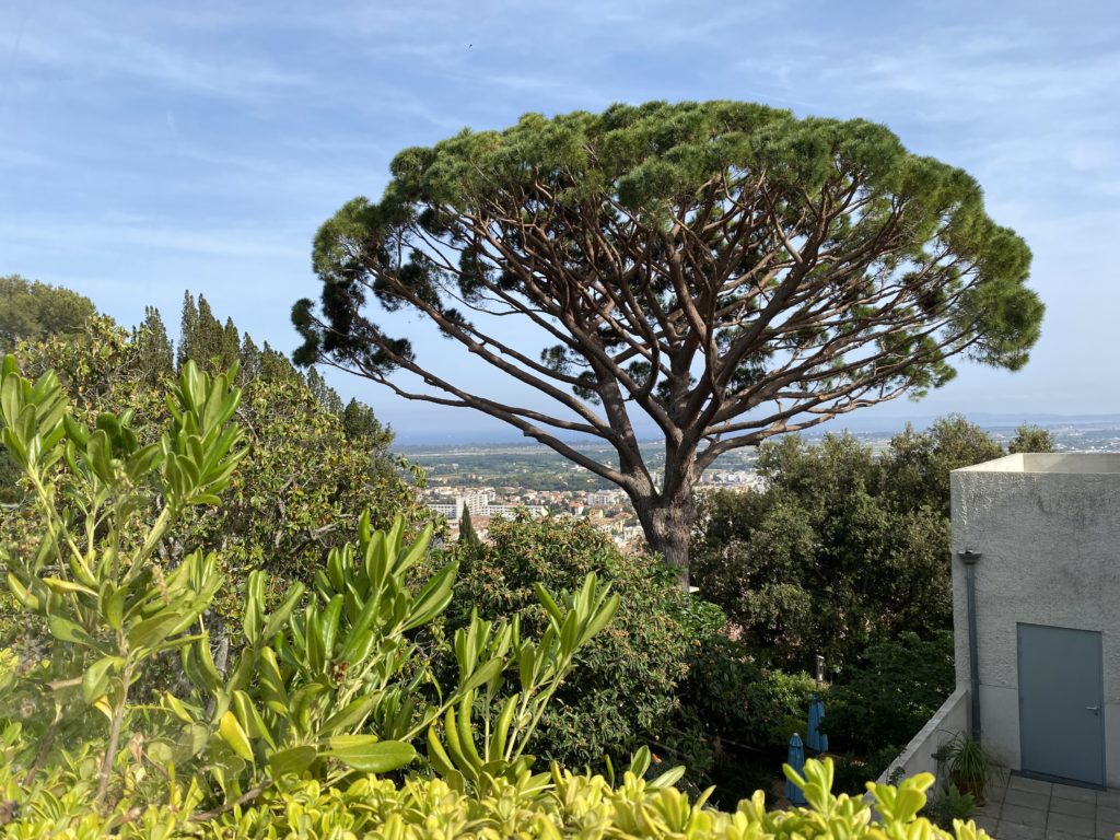 Le jardin de la Villa Noailles